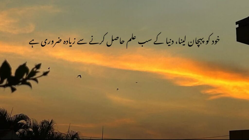 quotes in urdu